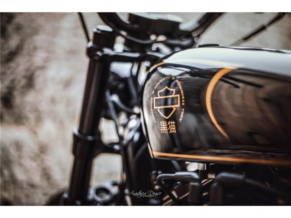2019 HARLEY-DAVIDSON FORTY EIGHT