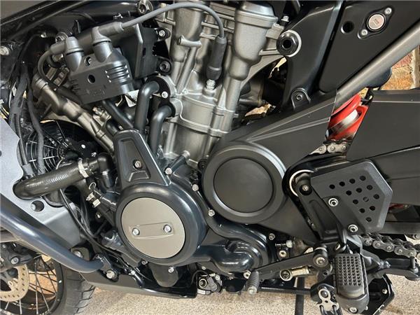 2021 Harley-Davidson Pan America Special