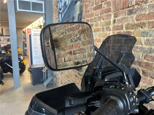 2021 Harley-Davidson Pan America Special