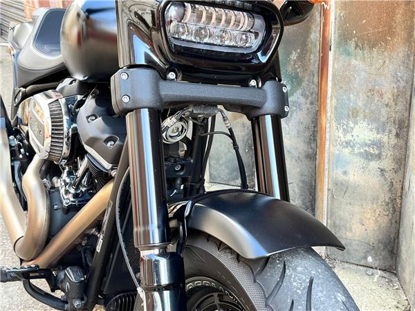 2018 Harley-Davidson Dyna