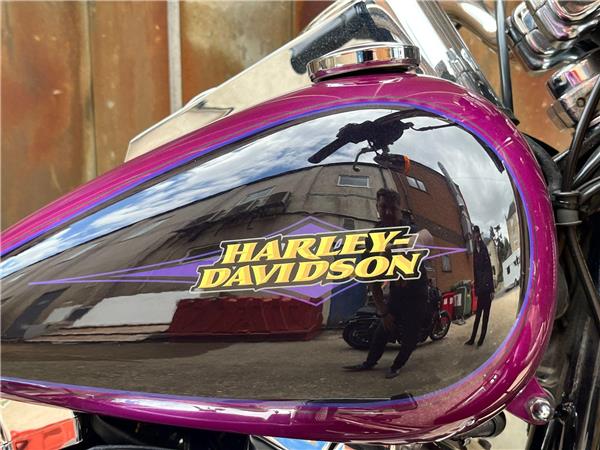 2016 Harley-Davidson Softail