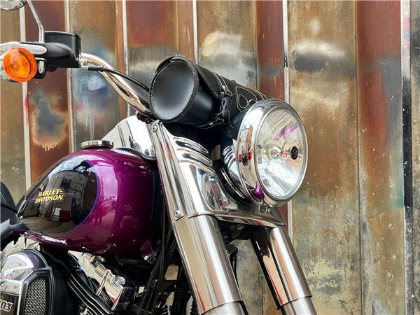 2016 Harley-Davidson Softail
