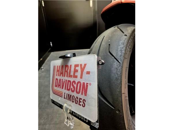 2022 HARLEY-DAVIDSON SPORTSTER 1250