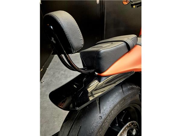 2022 HARLEY-DAVIDSON SPORTSTER 1250