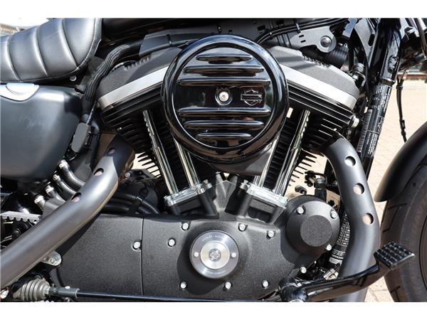 2020 HARLEY-DAVIDSON SPORTSTER XL883N IRON