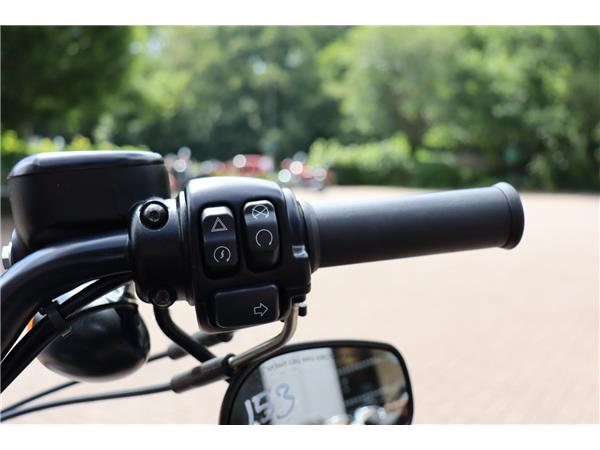 2020 HARLEY-DAVIDSON SPORTSTER XL883N IRON