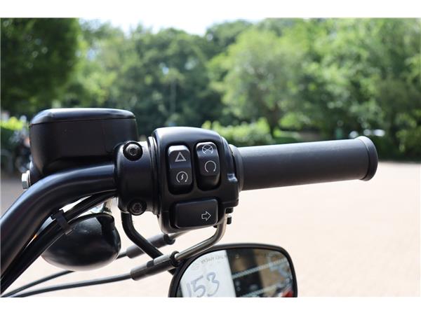 2020 HARLEY-DAVIDSON SPORTSTER XL883N IRON