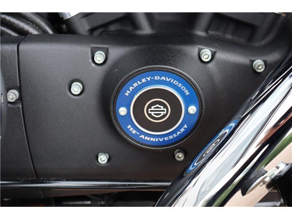2018 HARLEY-DAVIDSON SPORTSTER XL1200X FORTY-EIGHT