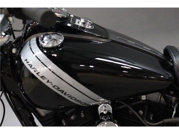 2016 HARLEY-DAVIDSON DYNA FXDF FAT BOB