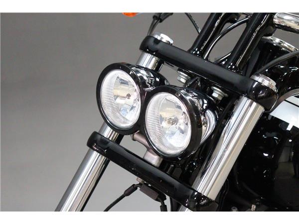 2016 HARLEY-DAVIDSON DYNA FXDF FAT BOB