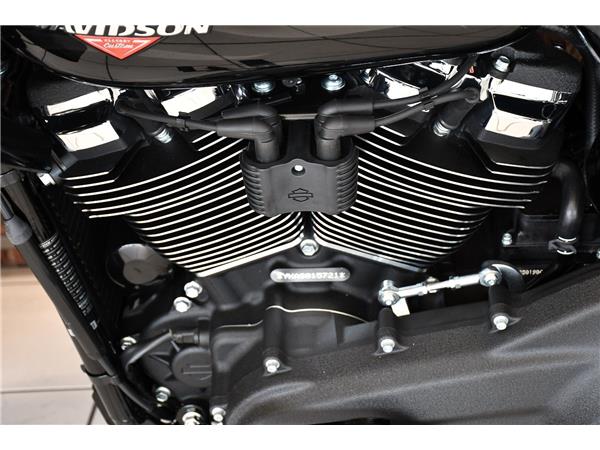 2025 HARLEY-DAVIDSON LOW RIDER ST