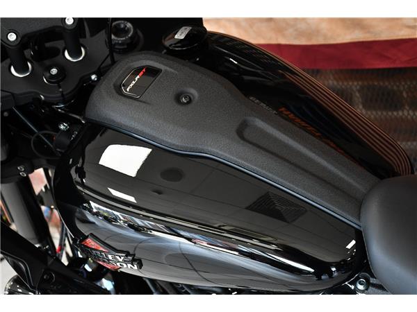 2025 HARLEY-DAVIDSON LOW RIDER ST