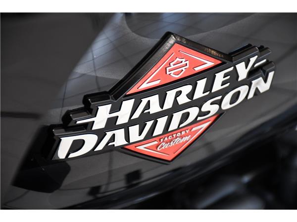 2025 HARLEY-DAVIDSON LOW RIDER ST