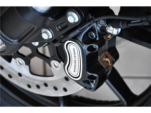 2025 HARLEY-DAVIDSON LOW RIDER ST