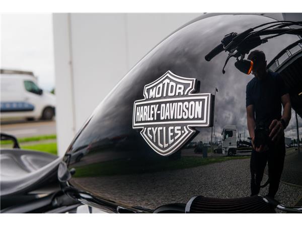 2013 Harley-Davidson Softail Slim