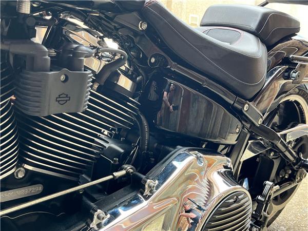 2018 Harley-Davidson Softail