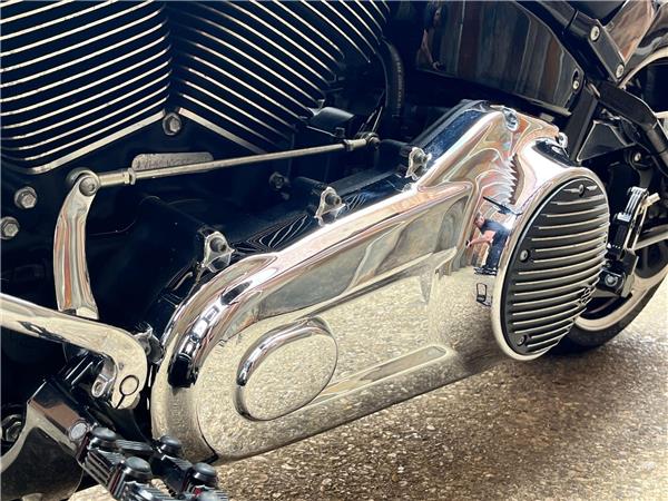 2018 Harley-Davidson Softail