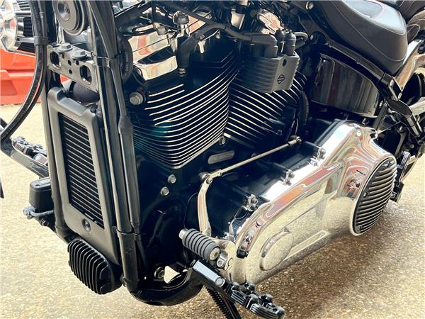 2018 Harley-Davidson Softail