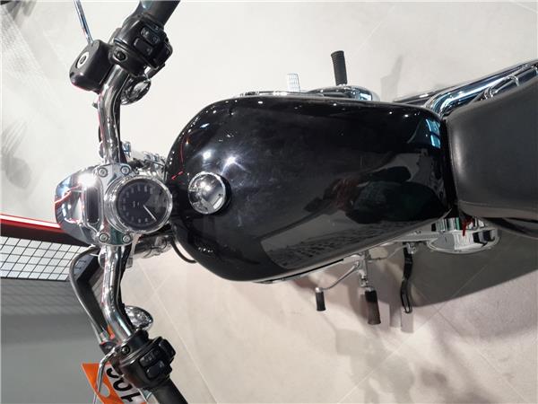 2013 HARLEY-DAVIDSON CUSTOM