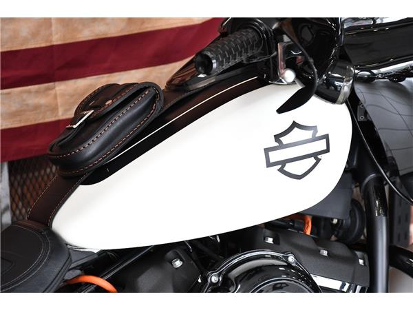 2019 HARLEY-DAVIDSON Fat Bob