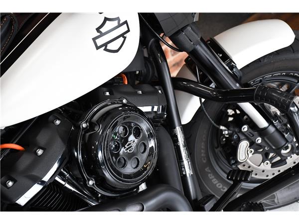 2019 HARLEY-DAVIDSON Fat Bob