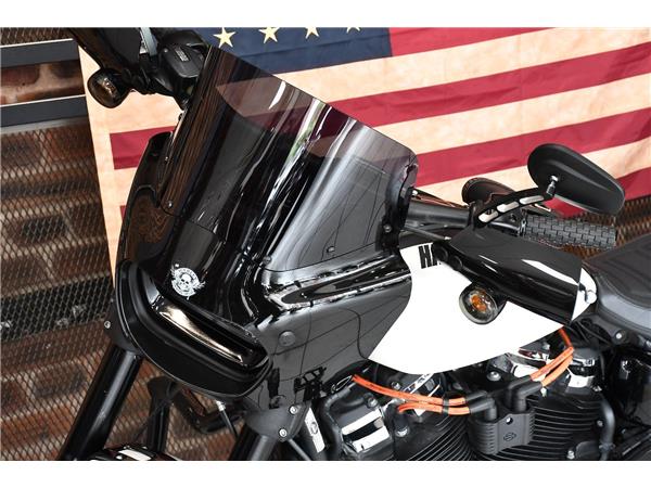 2019 HARLEY-DAVIDSON Fat Bob