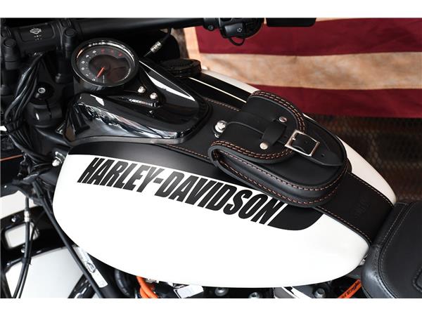 2019 HARLEY-DAVIDSON Fat Bob