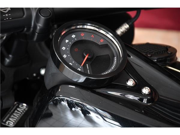 2019 HARLEY-DAVIDSON Fat Bob