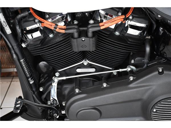 2019 HARLEY-DAVIDSON Fat Bob