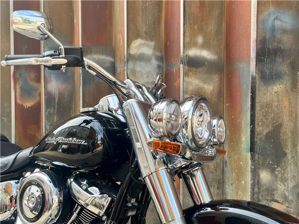 2018 Harley-Davidson Softail