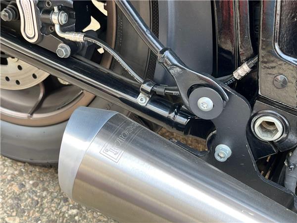 2022 Harley-Davidson Softail