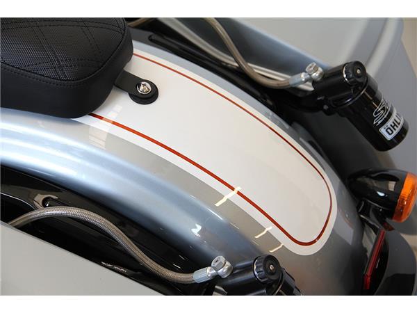 FLHRXS ROAD KING SPECIAL MY2021