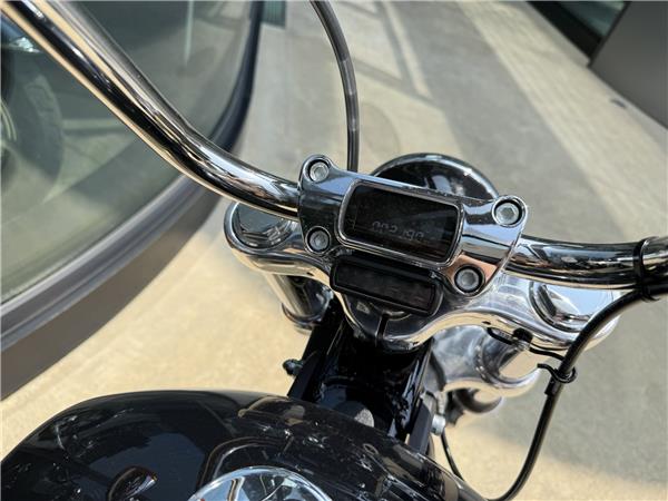 2023 HARLEY-DAVIDSON Softail FXST 1745 Softail Standard 107