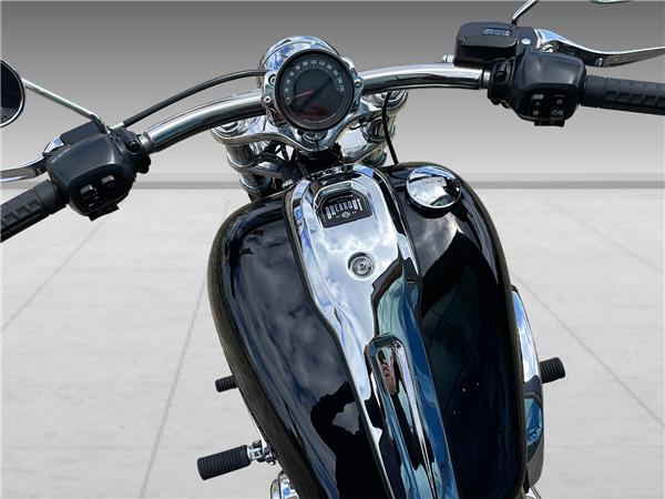 2025 HARLEY-DAVIDSON Softail FXBR Breakout 117