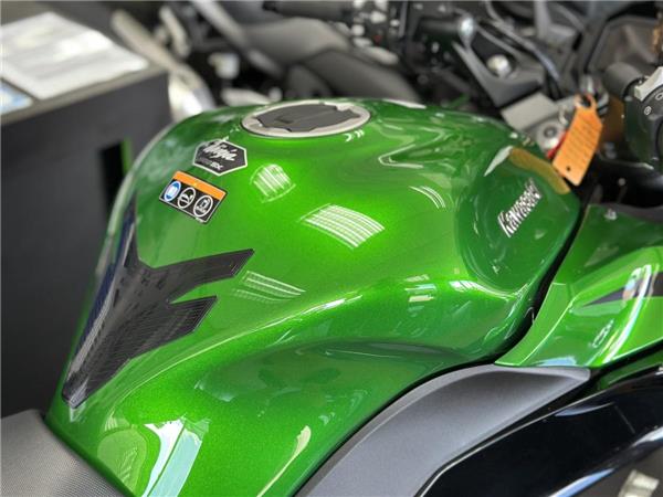 2025 KAWASAKI NINJA 1100 SX SE
