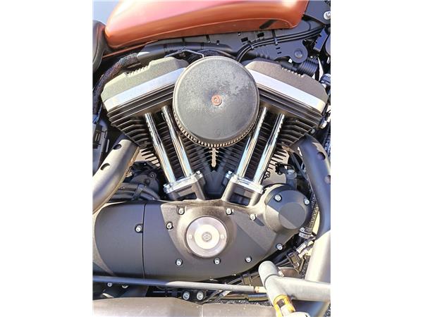 2017 Iron 883