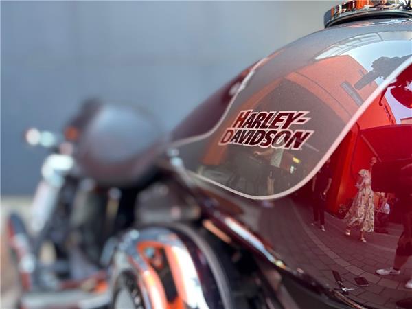 2014 Harley-Davidson Dyna Street Bob FXDB