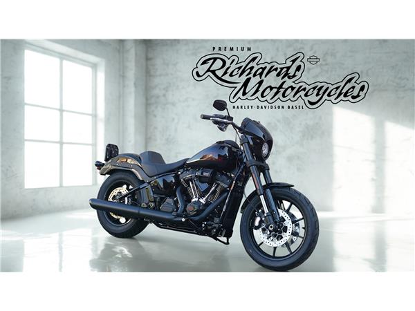 2025 harley-davidson FXLRS Low Rider S 117