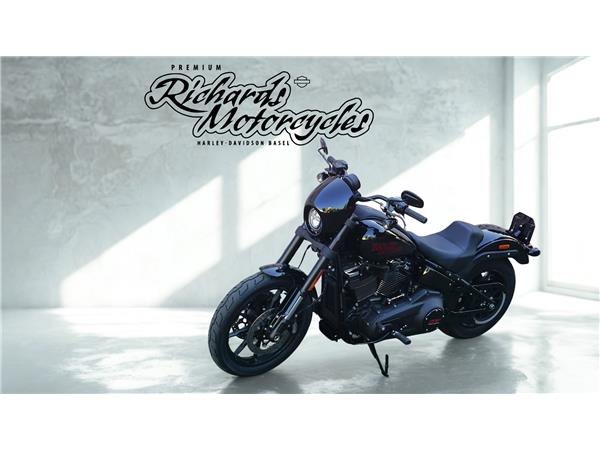 2025 harley-davidson FXLRS Low Rider S 117