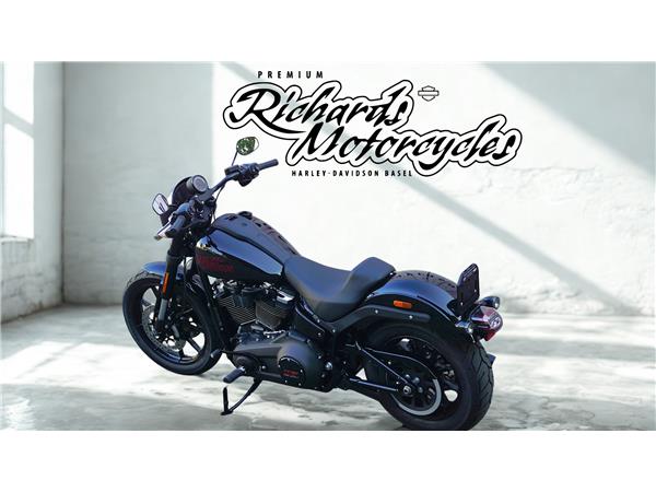 2025 harley-davidson FXLRS Low Rider S 117