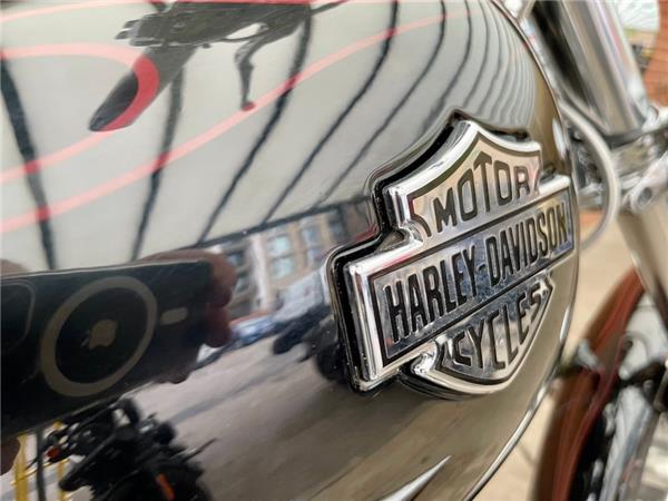 2008 HARLEY-DAVIDSON SOFTAIL FXCWC ROCKER C