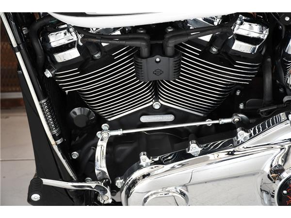 2025 HARLEY-DAVIDSON BREAKOUT 117 