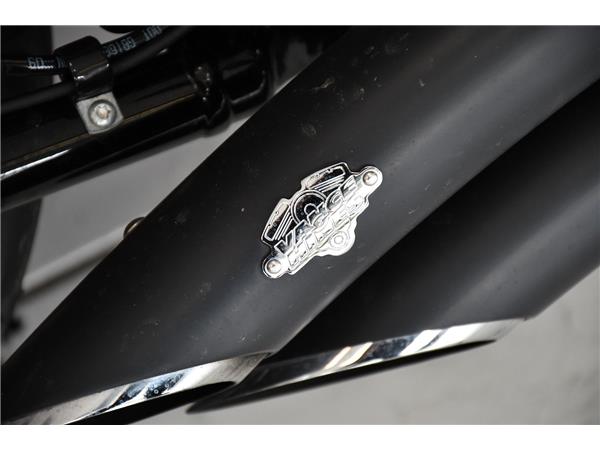 2025 HARLEY-DAVIDSON BREAKOUT 117 
