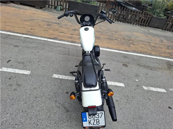 2019 Iron 1200