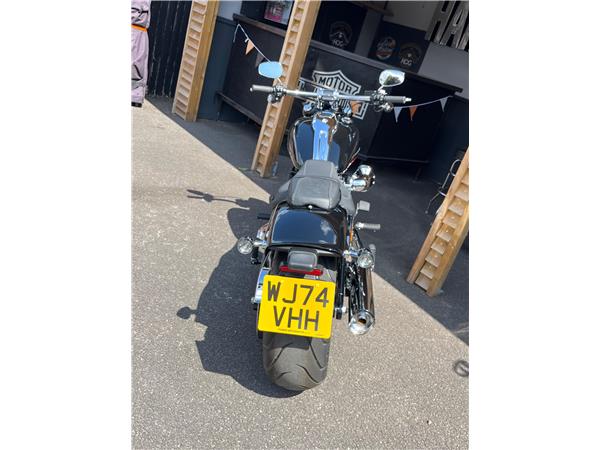 2024 Harley-Davidson Softail