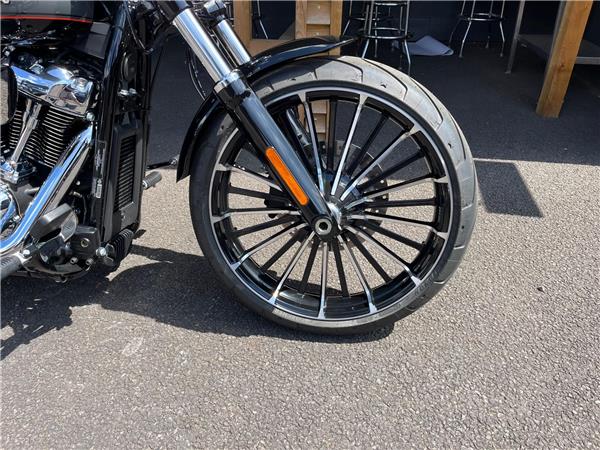 2024 Harley-Davidson Softail