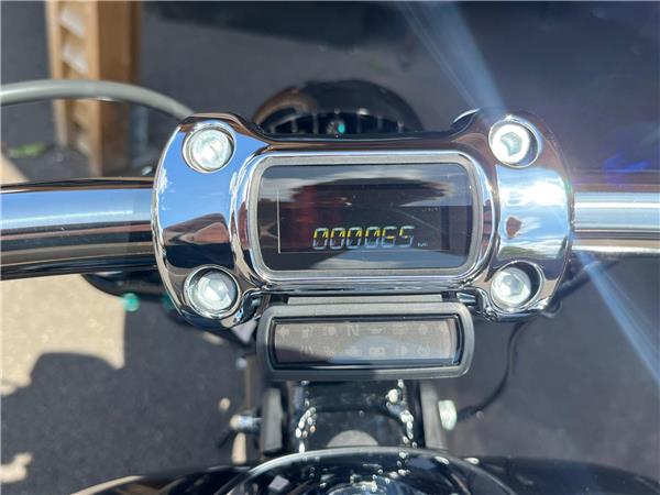 2024 Harley-Davidson Softail