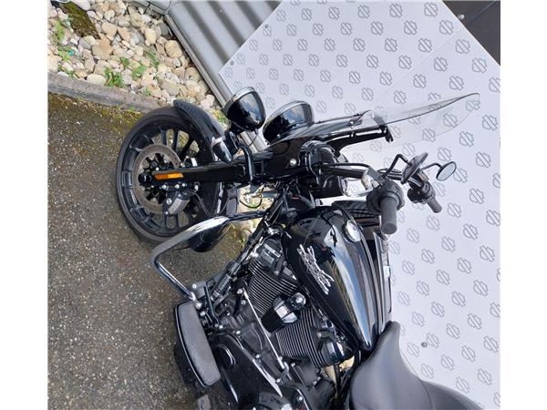 2024 HARLEY-DAVIDSON FREEWHEELER