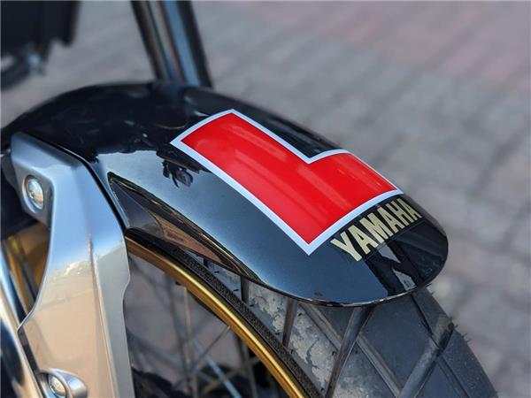 2024 Yamaha XSR125