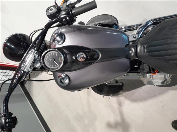 2014 HARLEY-DAVIDSON SLIM